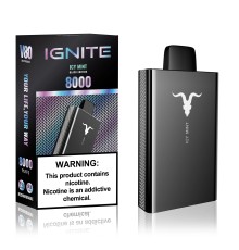 IGNITE V80 Ice Mint (Ледяная Мята)