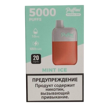 Puffmi DX5000 MeshBox Mint Ice (Ледяная Мята)