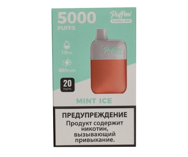 Puffmi DX5000 MeshBox Mint Ice (Ледяная Мята)