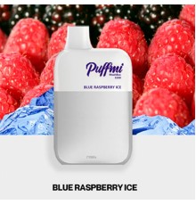 Puffmi DX5000 MeshBox Blueberry Raspberry (Черника, Малина)